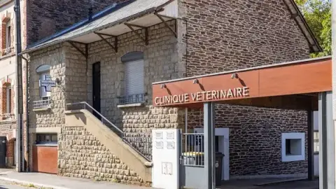 Veterinary Clinic Clemenceau