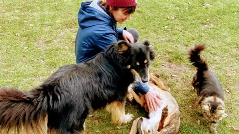 Aurore - Pet Sitter Chiens, Chats et NAC - Bordeaux Bègles