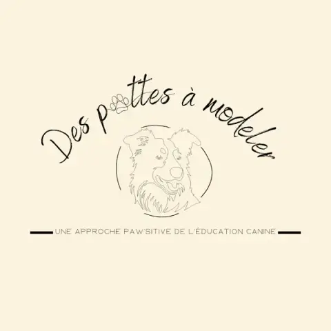 Des pattes à modeler : éducatrice comportementaliste canin et petsitter