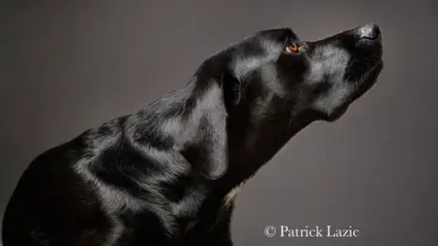 Anne Outters : Comportementaliste, Florathérapeute & Educateur canin