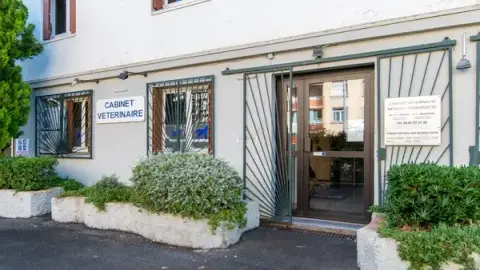 Cabinet vétérinaire Villeneuve d'Angoulême de Montpellier - Sevetys