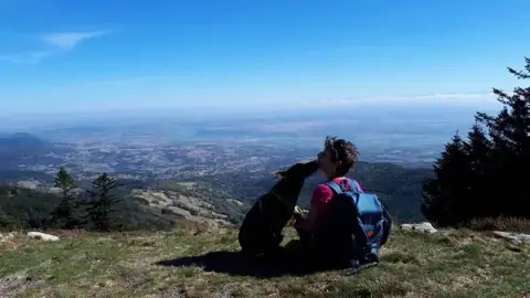 Mon Humain a du Chien