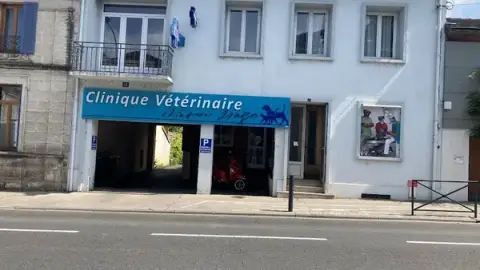Veterinary Clinic Victor Hugo