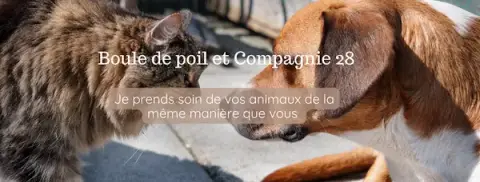 Boule de poil et compagnie 28