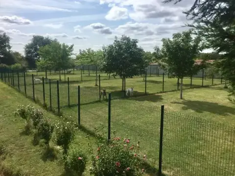 dog Pension Wood Clerbault