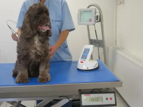 Dr. Delphine Zapata LASER - REEDUCATION FONCTIONNELLE IMOOVE