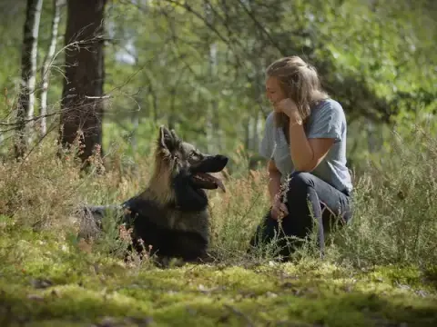 Un jour, mon chien… - Éducatrice canine et comportementaliste (45)