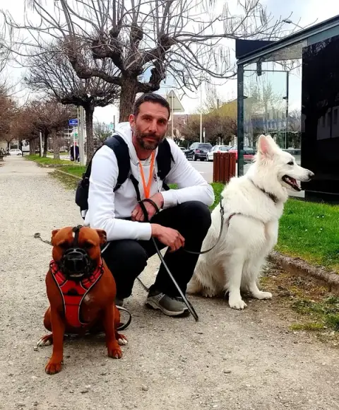 Annecy Education Canine 74