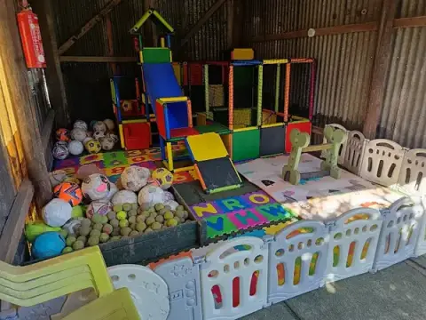 Rocky's Academy - Recreation Center Canin, Education And Behavior Dog And Services Animaliers