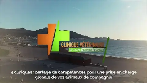 Veterinary Clinic of the Beach