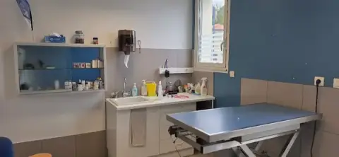 Veterinary Clinic of Mizottes