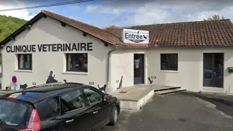 Clinique vétérinaire Les Maurilloux - Trélissac - Sevetys