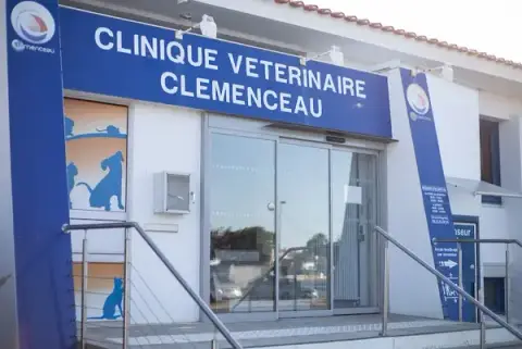 Veterinary Clinic Clemenceau