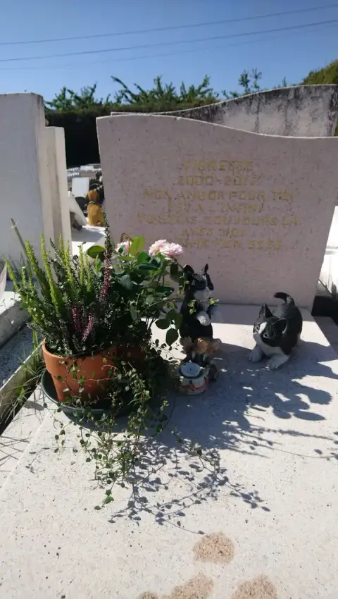 Cimetière pour animaux familiers
