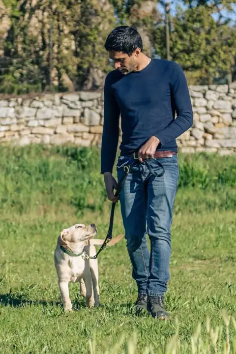 Educateur Canin Respectdogs Rouen