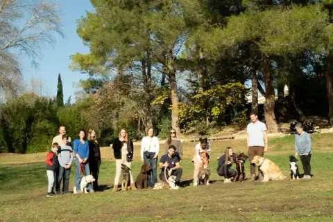 Training Dog - Éducateur Canin Comportementaliste - Aix en Provence
