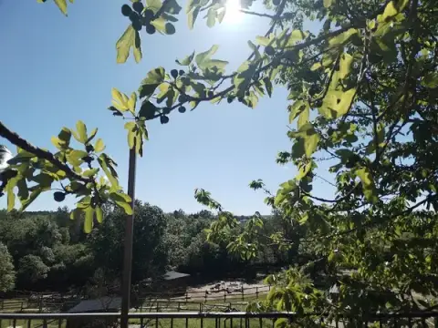 Parc Animalier des Gorges de l'Ardèche