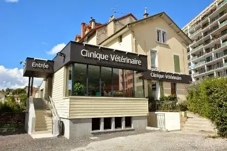 Veterinary Clinic of the roundabout