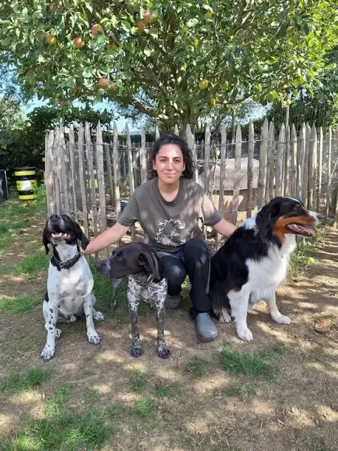 Mes Amis Les Animaux