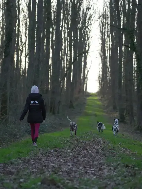 Mialou à la rescousse : éducateur comportementaliste canin