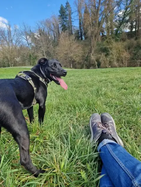 Anima'Pattes Centre aéré pour chien, pension féline événements et vente de produits pour chiens et chats.