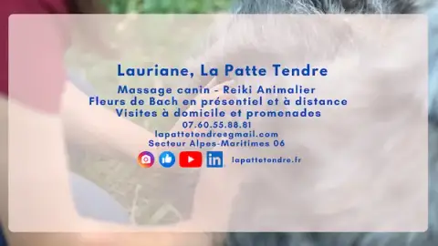 La Patte Tendre masseur canin pet-sitter Fleurs de Bach