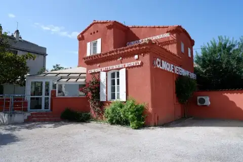 Veterinary Clinic Borely