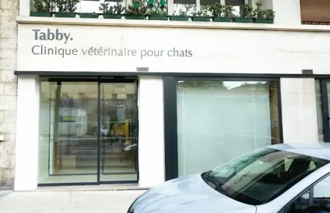Clinique vétérinaire pour chats Tabby