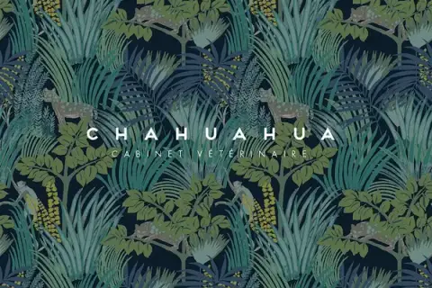 Clinique Vétérinaire Chahuahua (Nice) - Dr ALBOUY, HAAS & SCANNAVINO
