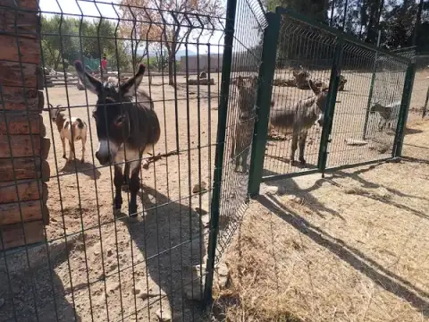 Corsica Zoo