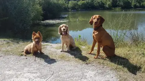 gardopoils