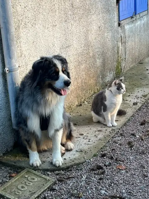 POILUS & COMPAGNIE
