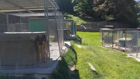 SVPA - Société Vosgienne de Protection Animale