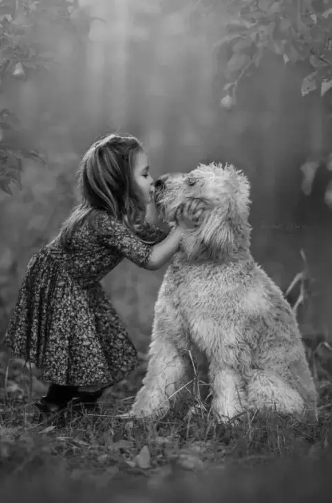 Memoripet.ch - Pompes funèbres pour animaux