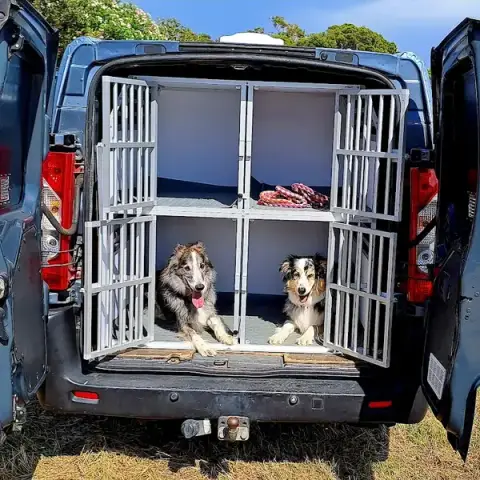 transport animalier corse