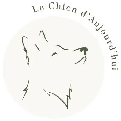 LE CHIEN D'AUJOURD'HUI