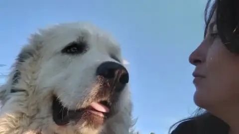 Education Canine Cara