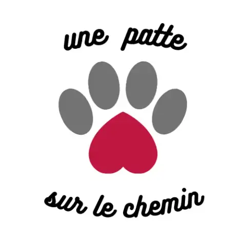 Une patte sur le chemin - Médiation par l'animal