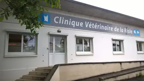 Veterinary Clinic Risle