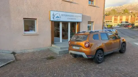 Vet'Equine - Vétérinaires Equins