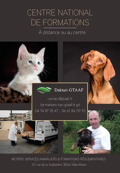 National Center Training Daktari- Gtaaf