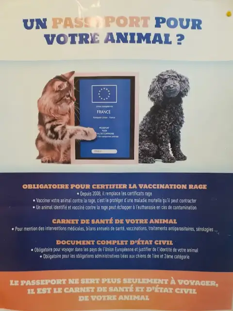 Docteur Wawrzyniak Patrick