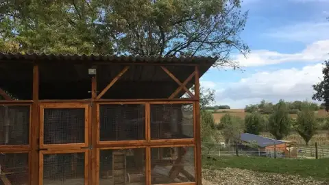 Pension Féline Chez Nicky