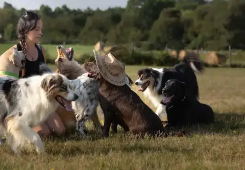 O Ranch Canin