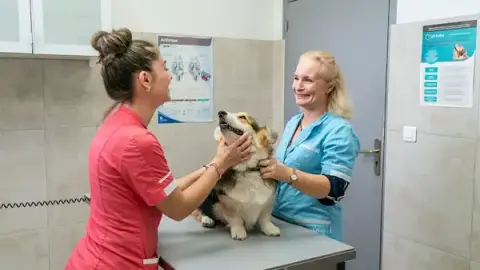 Clinique Vétérinaire Argos Ventabren