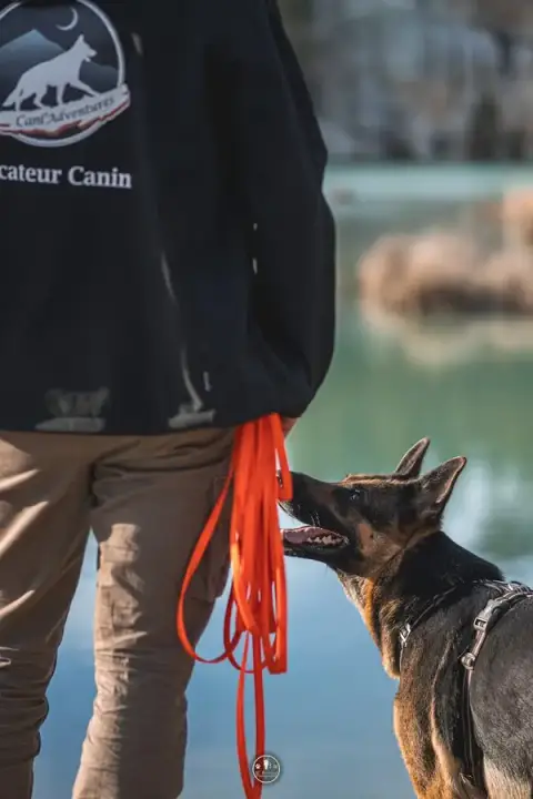 Cani'Adventures -Educateur Canin