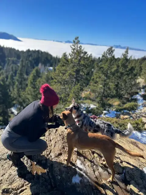 Pawssion