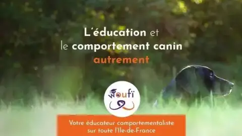 Woufï - Education, Formation & Comportement canin - Val-de-Marne 94
