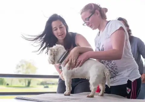 Areg Animalcare