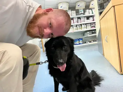 Clinique Vétérinaire Neudorvet